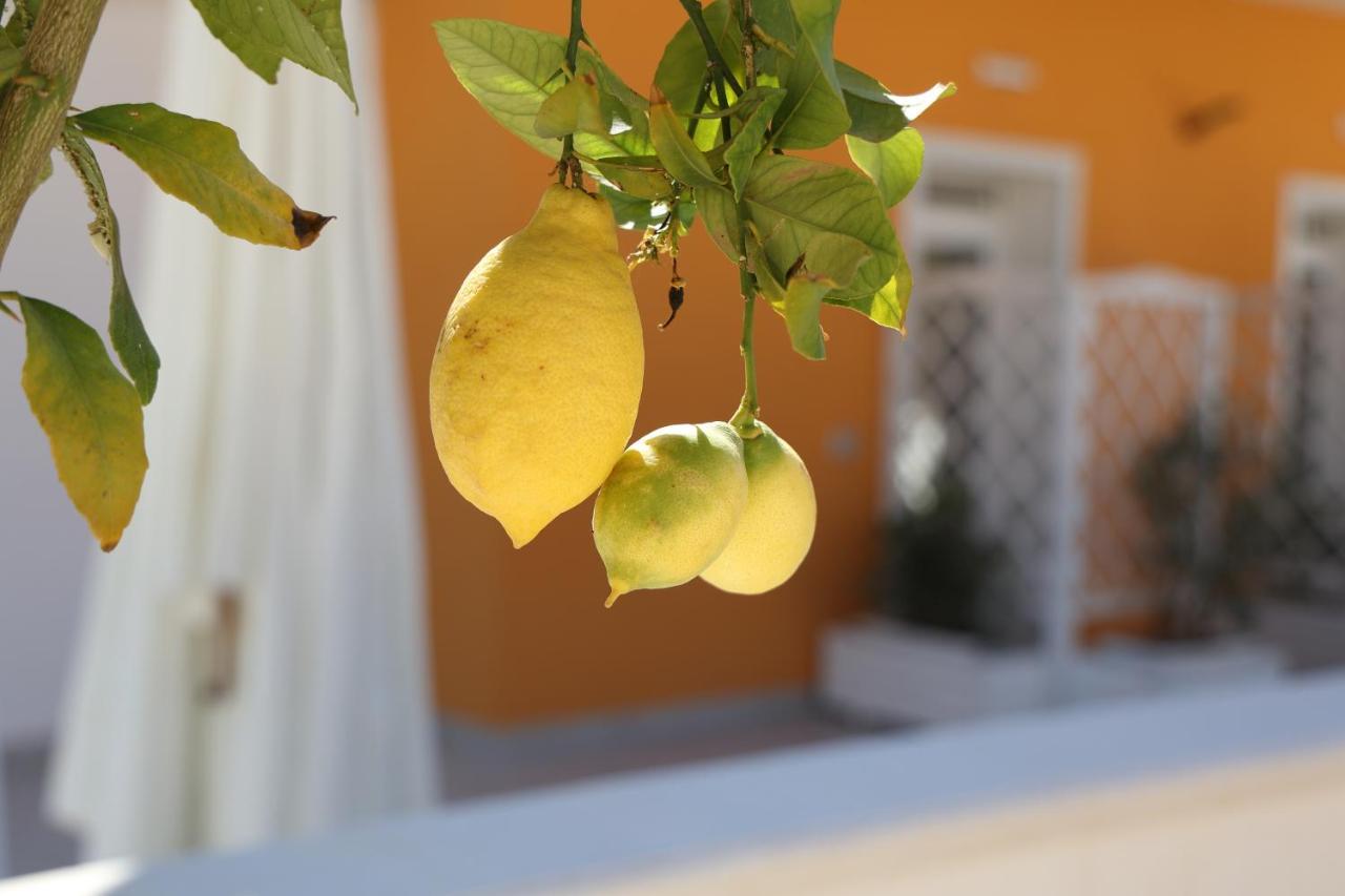 Casa Vacanze Il Gigante Comfort A Due Passi Dalla Valle Dei Templi Agrigento Zewnętrze zdjęcie